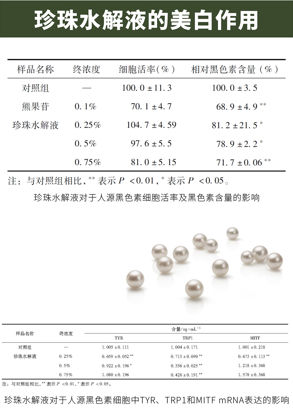 1767687813331214.jpg p2-2.jpg